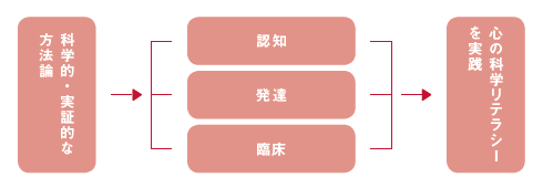 CURRICULUM