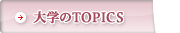 �i�H�E�A�ETOPICS