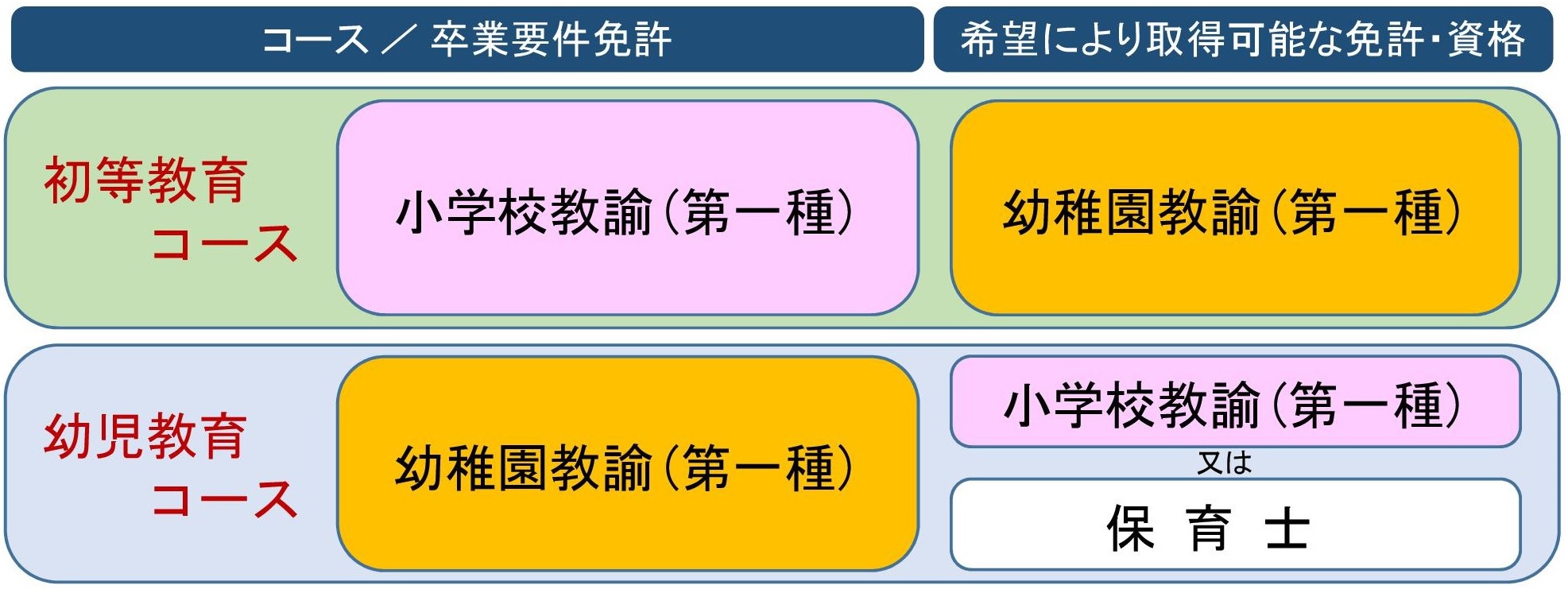 免許 保育 士