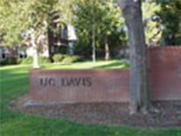 カリフォルニア大学デイビス校(アメリカ)