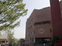 韓国カトリック大学(韓国)